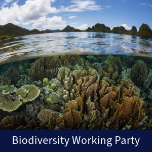 Biodiversity Working Party