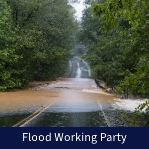 Flood Working Party